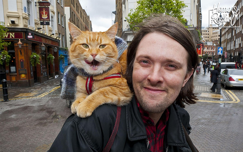 معرفی گربه خیابانی به نام باب